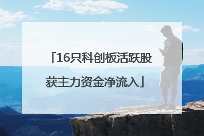 16只科创板活跃股获主力资金净流入