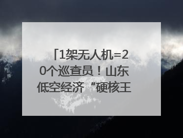 1架无人机=20个巡查员！山东低空经济“硬核王炸”亮相青岛，下一个万亿赛道藏在这里