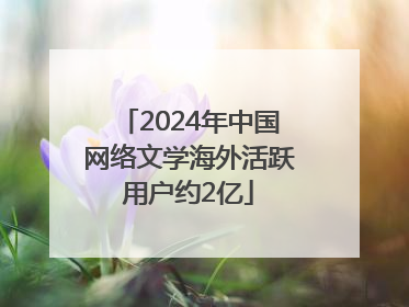 2024年中国网络文学海外活跃用户约2亿