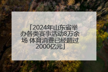 2024年山东省举办各类赛事活动8万余场 体育消费已经超过2000亿元