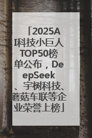 2025AI科技小巨人TOP50榜单公布，DeepSeek、宇树科技、蘑菇车联等企业荣誉上榜