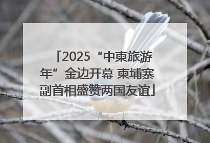 2025“中柬旅游年”金边开幕 柬埔寨副首相盛赞两国友谊