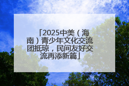 2025中美（海南）青少年文化交流团抵琼，民间友好交流再添新篇