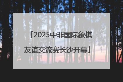 2025中非国际象棋友谊交流赛长沙开幕