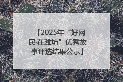 2025年“好网民·在潍坊”优秀故事评选结果公示