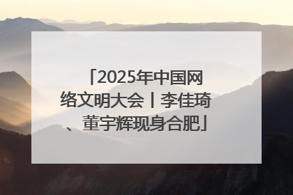 2025年中国网络文明大会丨李佳琦、董宇辉现身合肥