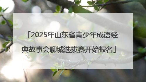 2025年山东省青少年成语经典故事会聊城选拔赛开始报名