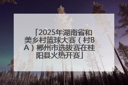 2025年湖南省和美乡村篮球大赛（村BA）郴州市选拔赛在桂阳县火热开赛
