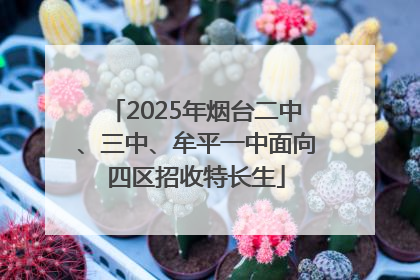 2025年烟台二中、三中、牟平一中面向四区招收特长生