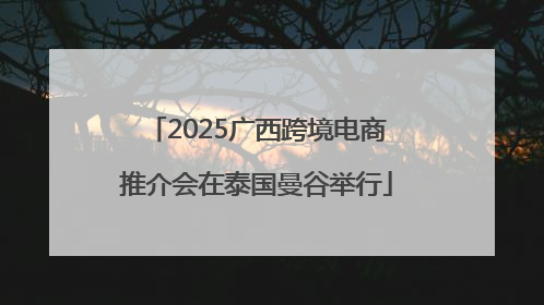2025广西跨境电商推介会在泰国曼谷举行