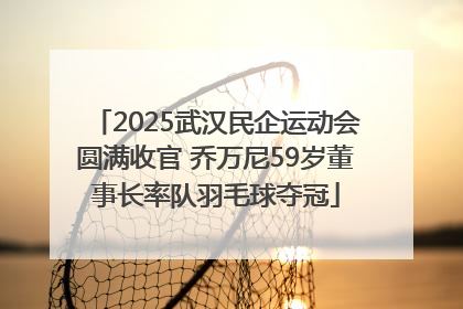 2025武汉民企运动会圆满收官 乔万尼59岁董事长率队羽毛球夺冠