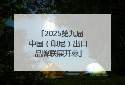 2025第九届中国（印尼）出口品牌联展开幕