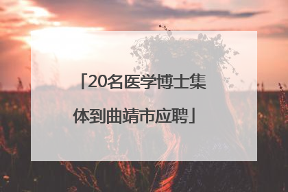20名医学博士集体到曲靖市应聘