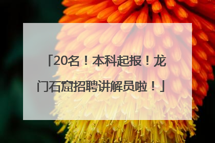 20名！本科起报！龙门石窟招聘讲解员啦！