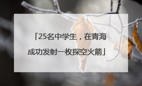25名中学生，在青海成功发射一枚探空火箭
