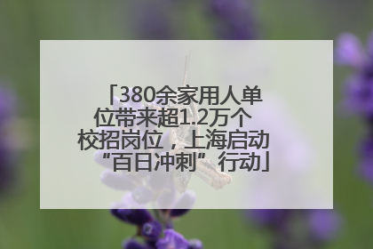 380余家用人单位带来超1.2万个校招岗位，上海启动“百日冲刺”行动