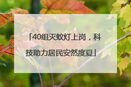 40组灭蚊灯上岗，科技助力居民安然度夏