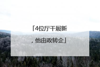 4位厅干履新，他由政转企