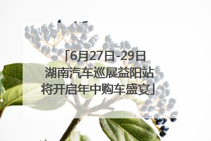 6月27日-29日 湖南汽车巡展益阳站将开启年中购车盛宴