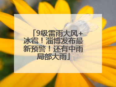 9级雷雨大风+冰雹！淄博发布最新预警！还有中雨局部大雨