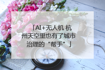 AI+无人机 杭州天空里也有了城市治理的“帮手”