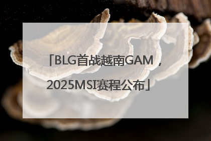 BLG首战越南GAM，2025MSI赛程公布