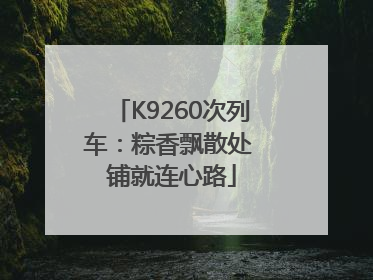 K9260次列车：粽香飘散处 铺就连心路
