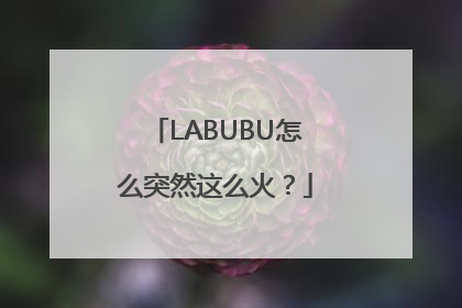 LABUBU怎么突然这么火？