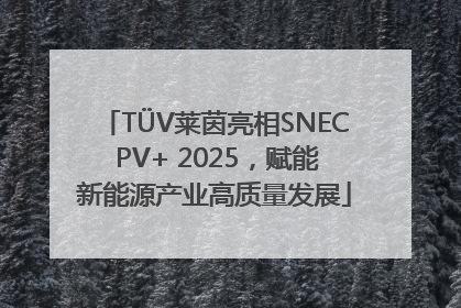 TÜV莱茵亮相SNEC PV+ 2025，赋能新能源产业高质量发展