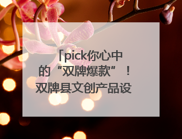 pick你心中的“双牌爆款”！双牌县文创产品设计大赛网络投票评选火热进行中